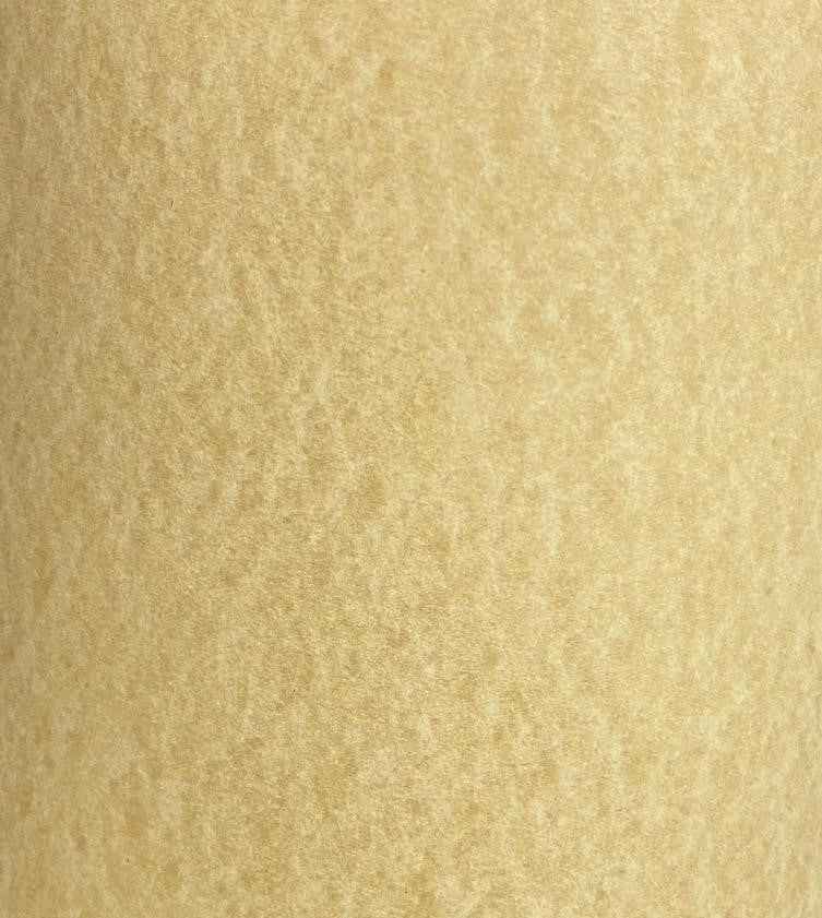 Cartulina Parchment Skytone 176g Antique Gold 58×88cm Supra® Sky204-176 Hoja 02