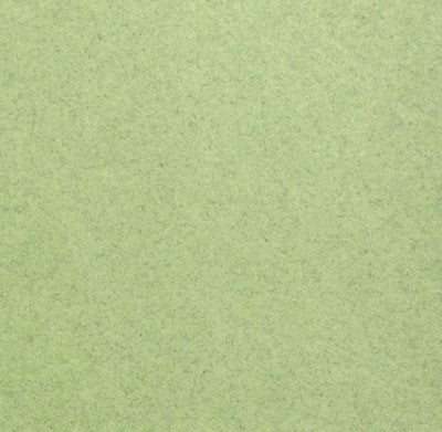 Cartulina Passport 216g Sage 57×87cm Supra® Hoja 01