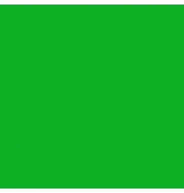 Cartulina Brights 176g Kelly Green 57×87cm Supra® [Hoja]