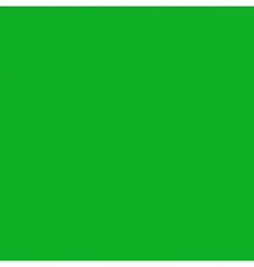 Cartulina Brights 176g Kelly Green 57×87cm Supra® [Hoja]