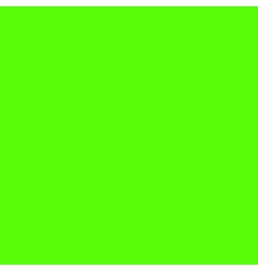 Cartulina Brights 176g Lime Green 57×87cm Supra® Hoja 01