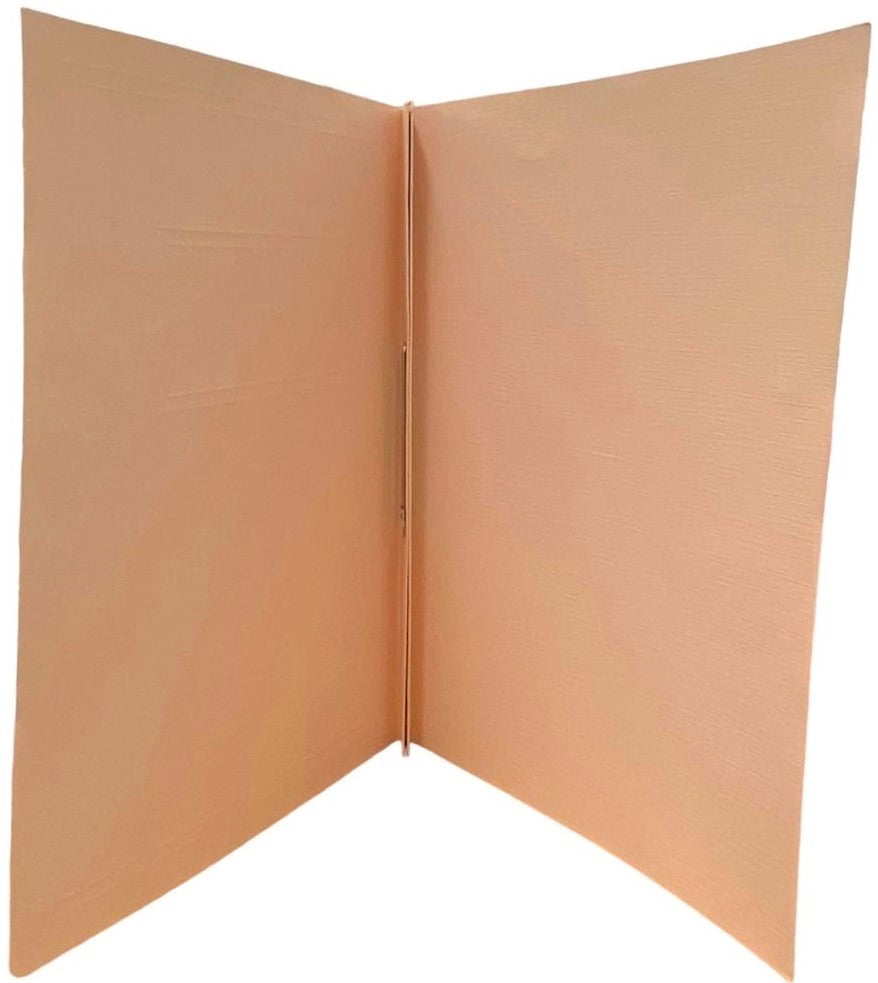 Carpeta Publicitas Broche 8cm Rosa Melón Carta Proesa® [Pieza] 3