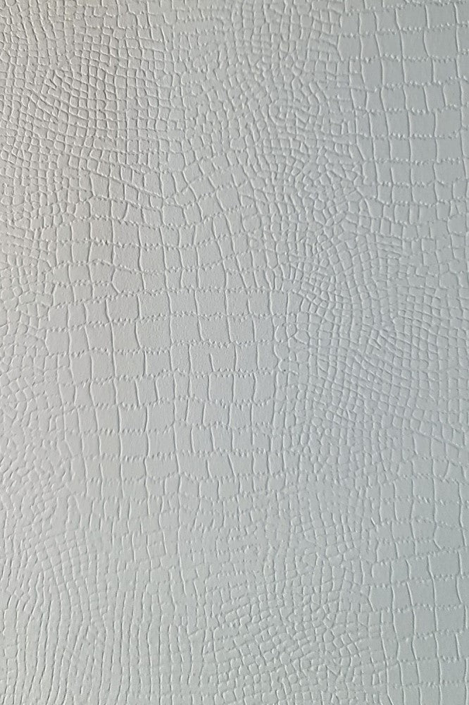 Cartulina Kant Gofrada Blanco/White 220g Moscow 65×90cm Supra® KG110 Hoja 01