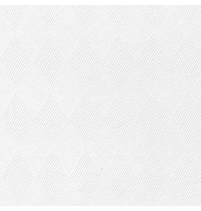 Cartulina Kant Gofrada Blanco/White 220g San Basilio 65×90cm Supra® KG140 Hoja 02