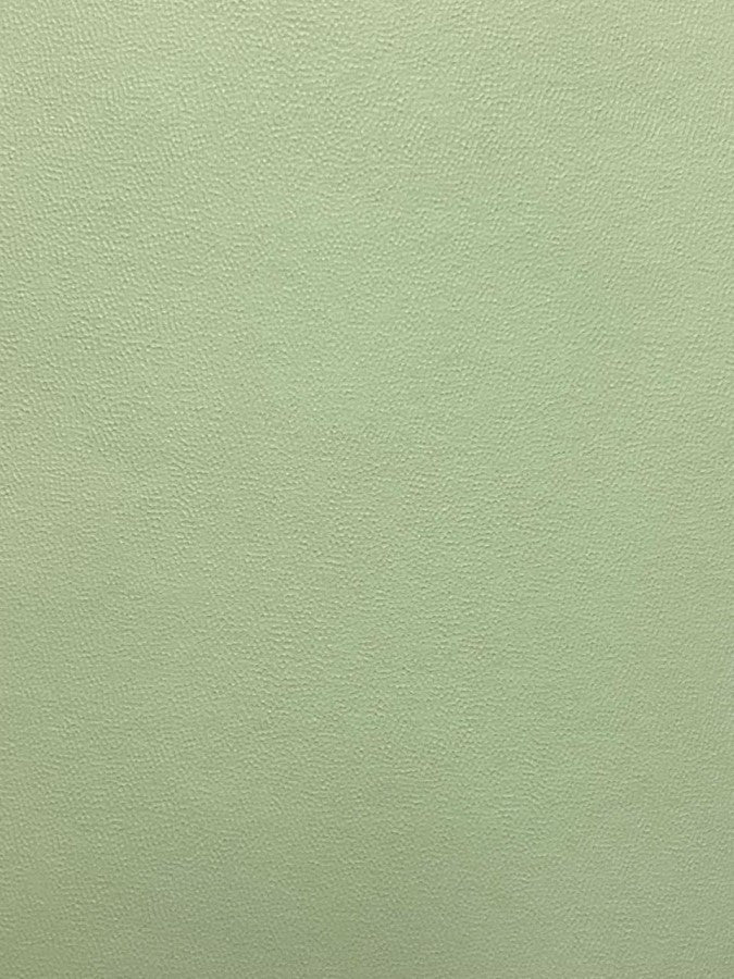 Cartulina Indapa 2/caras 176g Verde pastel 70×95cm Marmo® Hoja 02