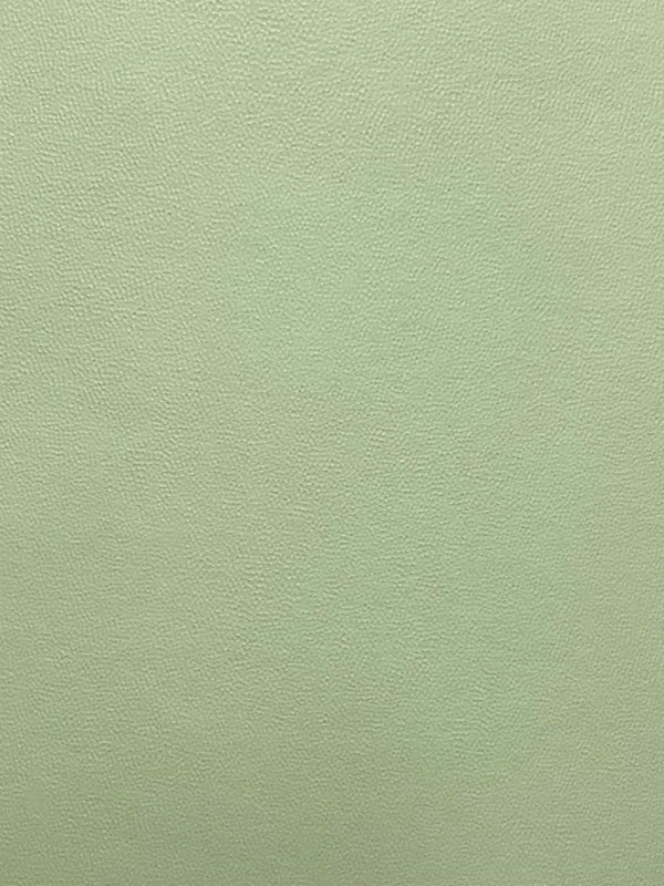 Cartulina Indapa 2/caras 176g Verde pastel 70×95cm Marmo® Hoja 02