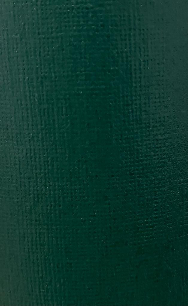 Cartulina Lonette 1/cara 230g Verde Obscuro 57×70cm Marmo® Hoja 02