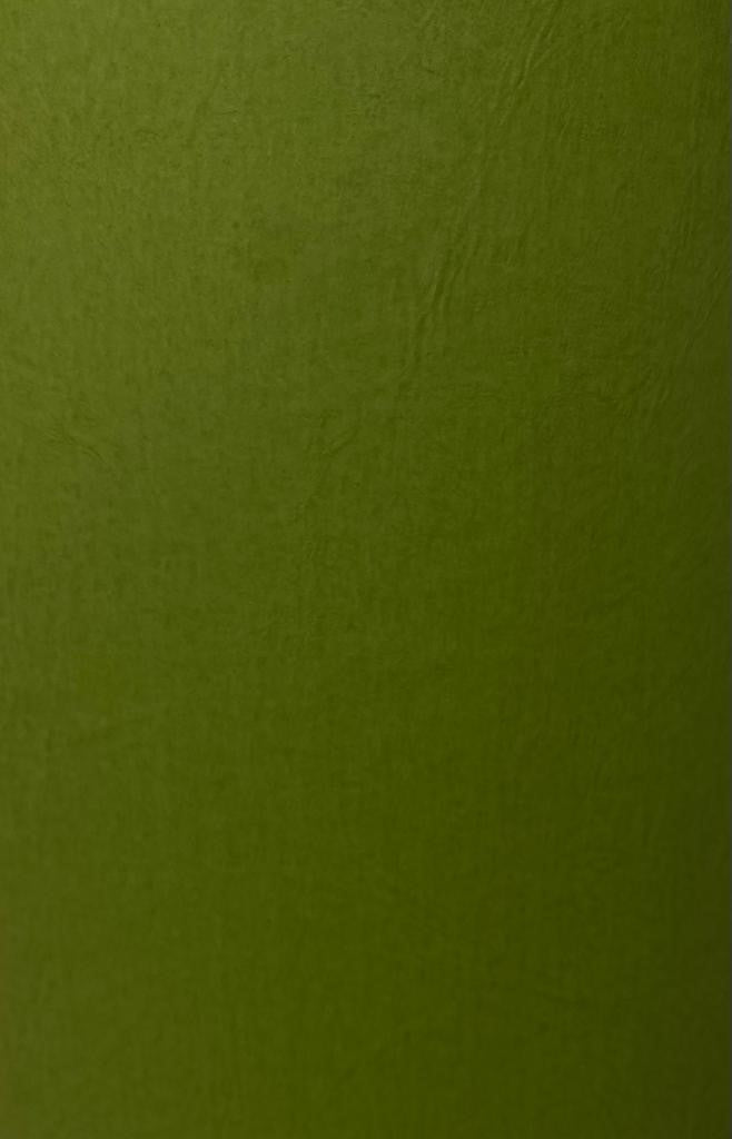 Cartulina Marmofold 2/caras 235g Verde Olivo 57×72cm Marmo® Hoja 02