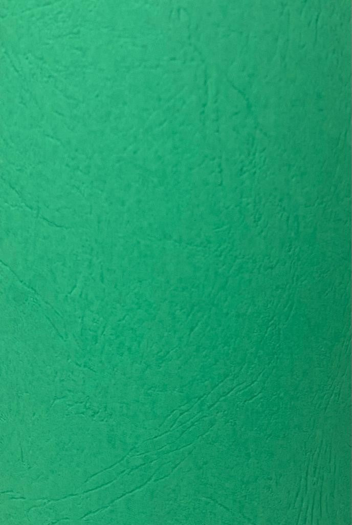 Cartulina Morocco 2/caras 235g Verde Bandera 57×72cm Marmo® Hoja 02