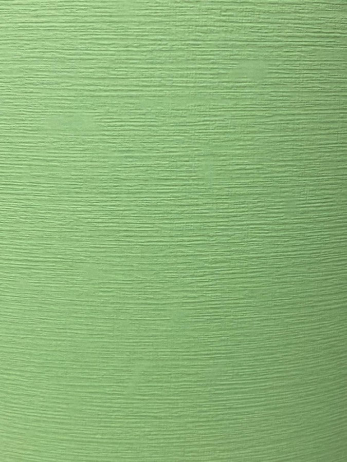Cartulina Publicitas Lino 160g Verde 70×95cm Marmo® Hoja 02