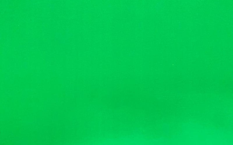 Cartulina América 24Pts Verde Hoja 70×100cm #229 Hoja 02