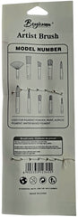 Pinceles Juego Planos Multi-Técnica B-5 c/5 Colores Plástico D'novac PC005Z [Conjunto] 6903332123451 2
