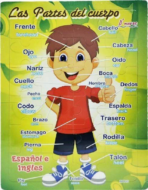 Rompecabezas de Madera Partes del Cuerpo 24 piezas 22½×29½cm Novedactic® RP010Z Pieza 7506287314203