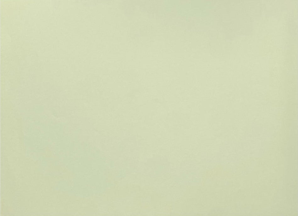 Cartulina Mi-Teintes® 100 Tilleul 160g Verde Tila 55×75cm Canson® Hoja 02