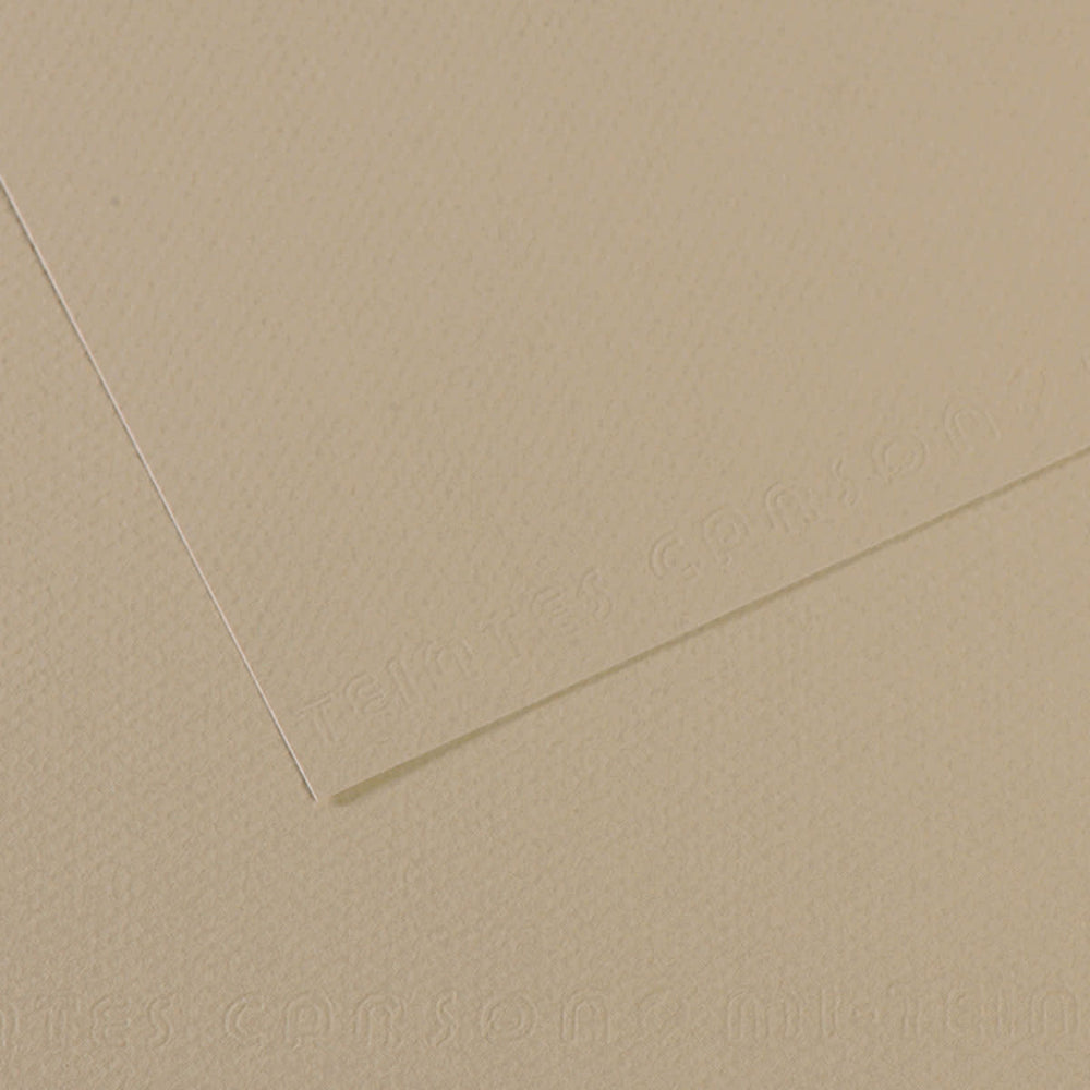 Cartulina Mi-Teintes® 343 Gris Trianon 160g Gris Trianón 50×65cm Canson® C31032S099 Hoja 31489532105