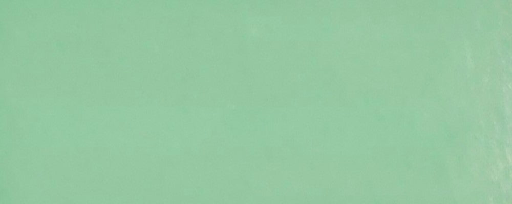 Cartulina Rodacote Brillante 1/cara 250g Verde pastel 50×65cm Canson® 7TE-26 Hoja 02