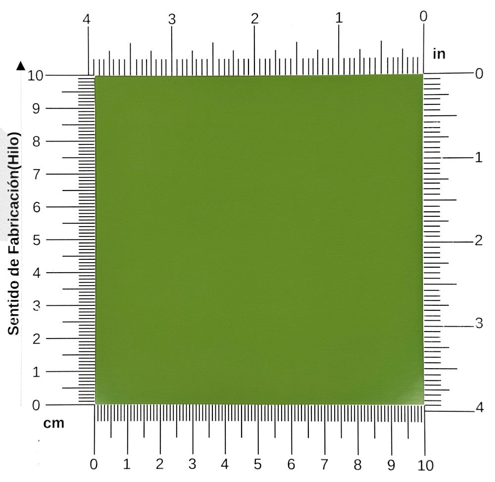 Cartulina Rodacote Brillante 1/cara 250g Verde Tropical 50×65cm Canson® 7TE-45 Hoja 01