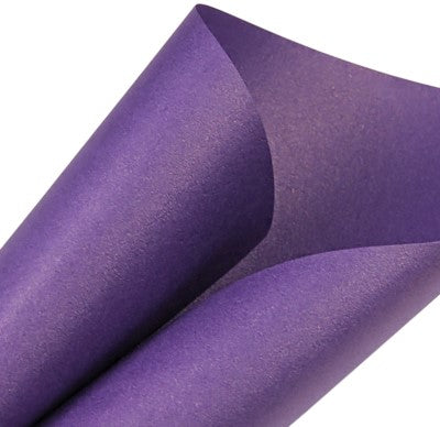 Papel Curious Metallics 120g Violette 45×64cm Arjowiggins® Hoja 02