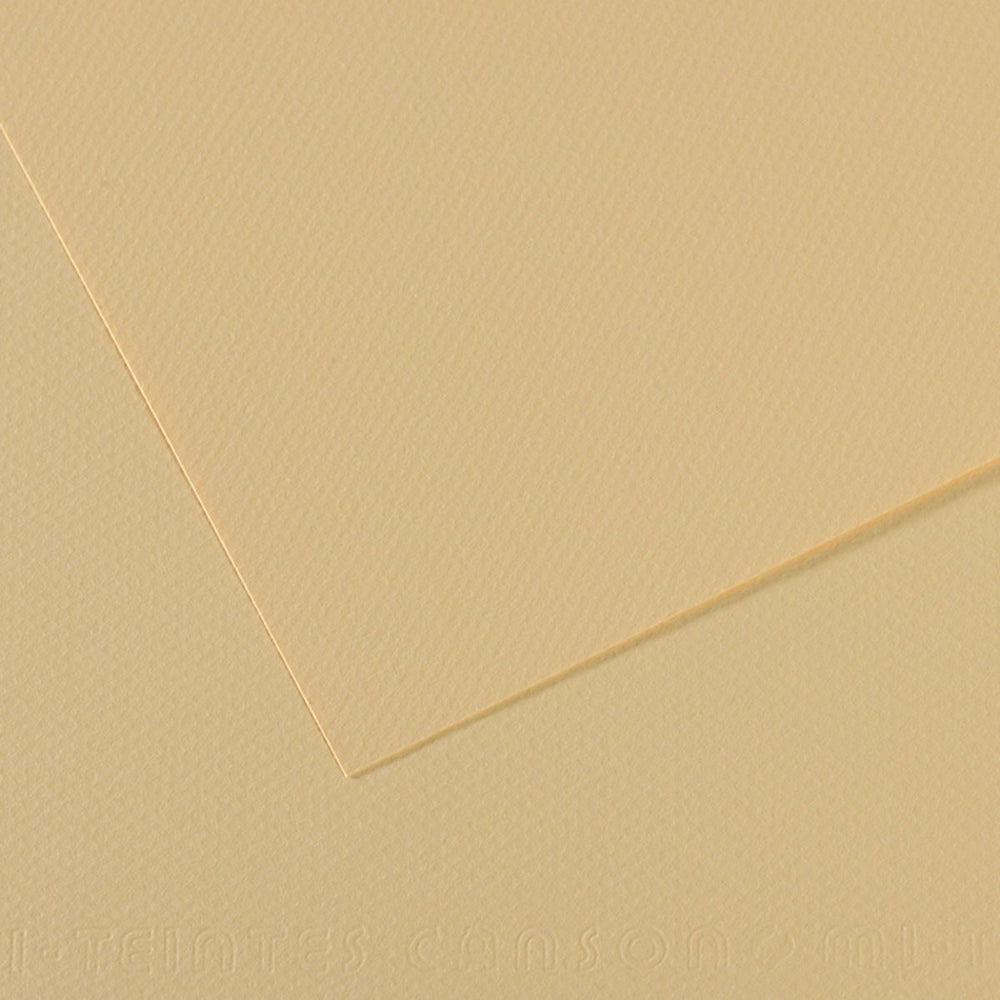 Cartulina Mi-Teintes® 407 Lichen 160g Liquen/Crema 50×65cm Canson® C31032S104 Hoja 3148953211245 01