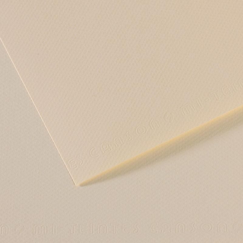 Cartulina Mi-Teintes® 110 Lys 160g Flor de Lys 50×65cm Canson® C31032S091 Hoja 3148954232638 01