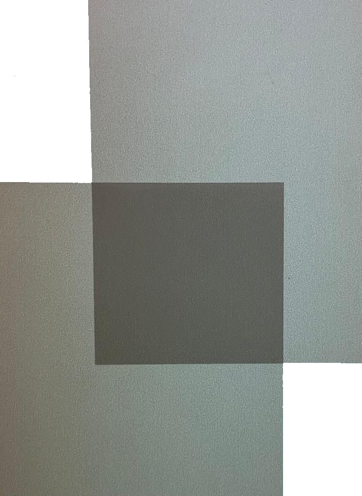 Papel Curious Translucent 100g Silver 70×100cm Arjowiggins® 3XP1S Hoja 01