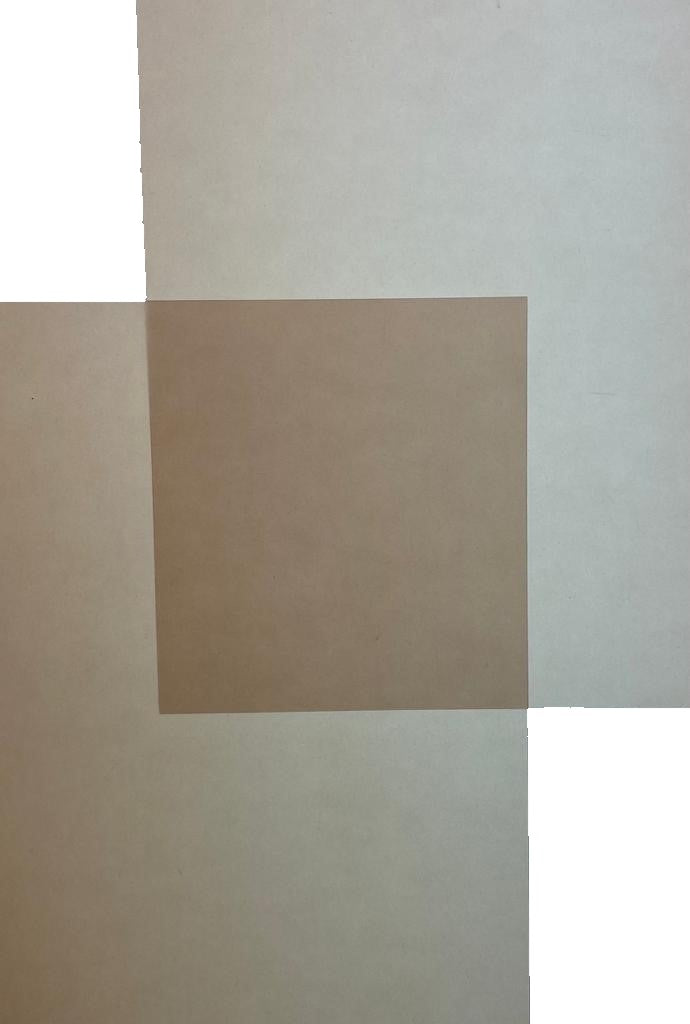 Papel Curious Translucent 100g Nude 70×100cm Arjowiggins® 3XP1NU Hoja 01