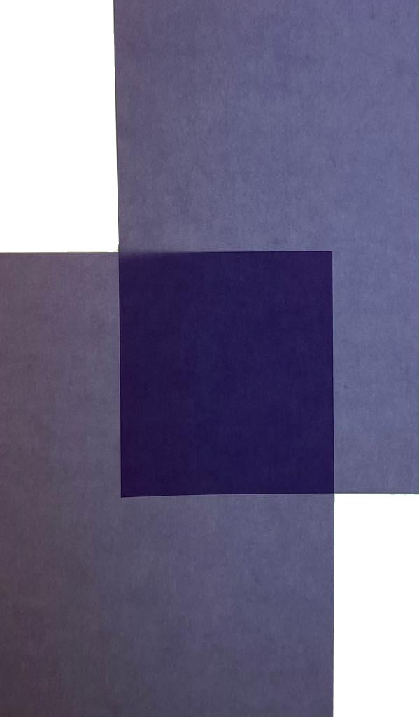 Papel Curious Translucent 100g Violette 70×100cm Arjowiggins® 3XP1V Hoja 01