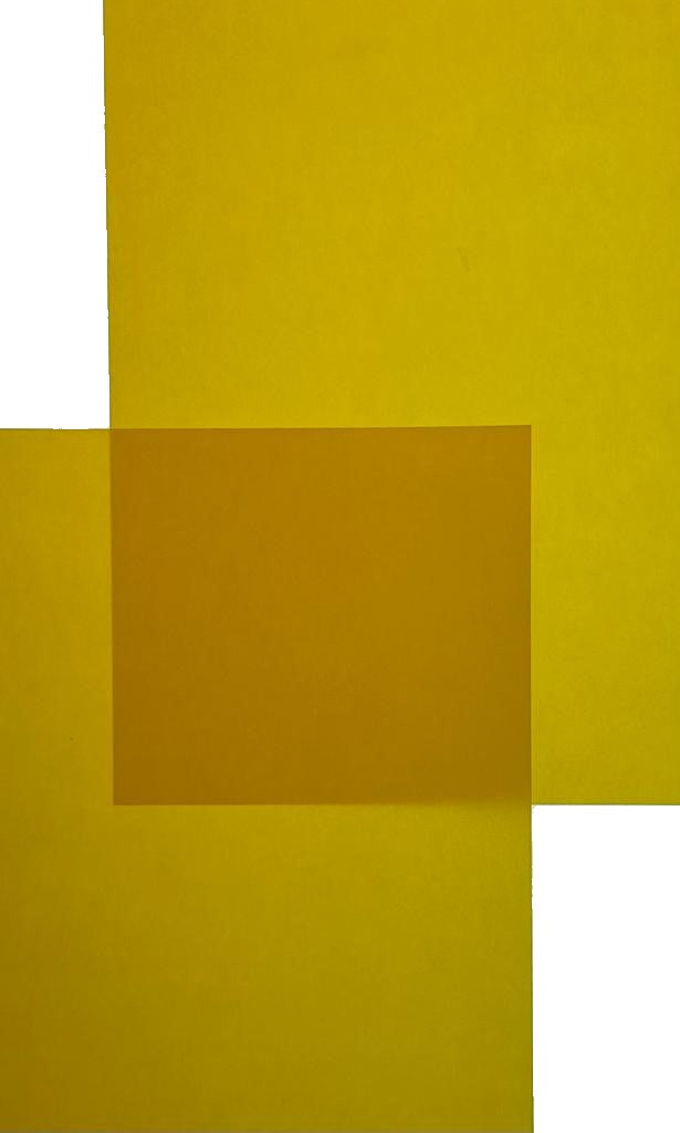 Papel Curious Translucent 100g Sun Flower 70×100cm Arjowiggins® 3XP1SF Hoja 01