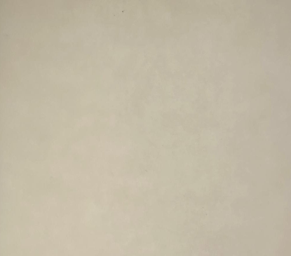 Papel Curious Translucent c/100 Plum Iridescent Carta 100g Arjowiggins® 3XP1PLM Cien hojas 02