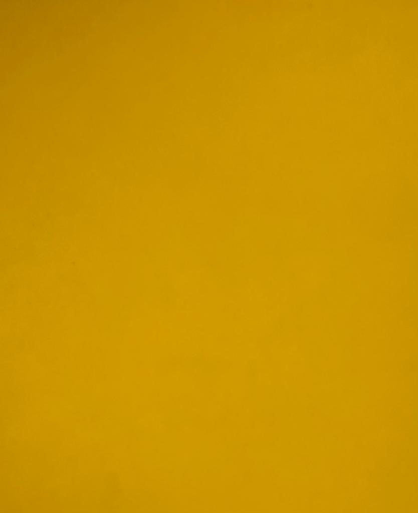 Papel Curious Translucent c/100 Sun Flower Carta 100g Arjowiggins® 3XP1SFM Cien hojas 02