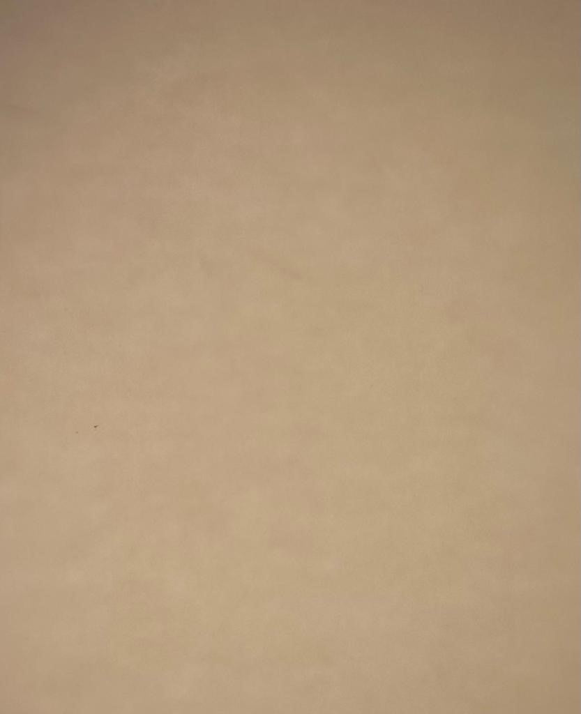 Papel Curious Translucent c/100 Nude Carta 100g Arjowiggins® 3XP1NUM Cien hojas 02