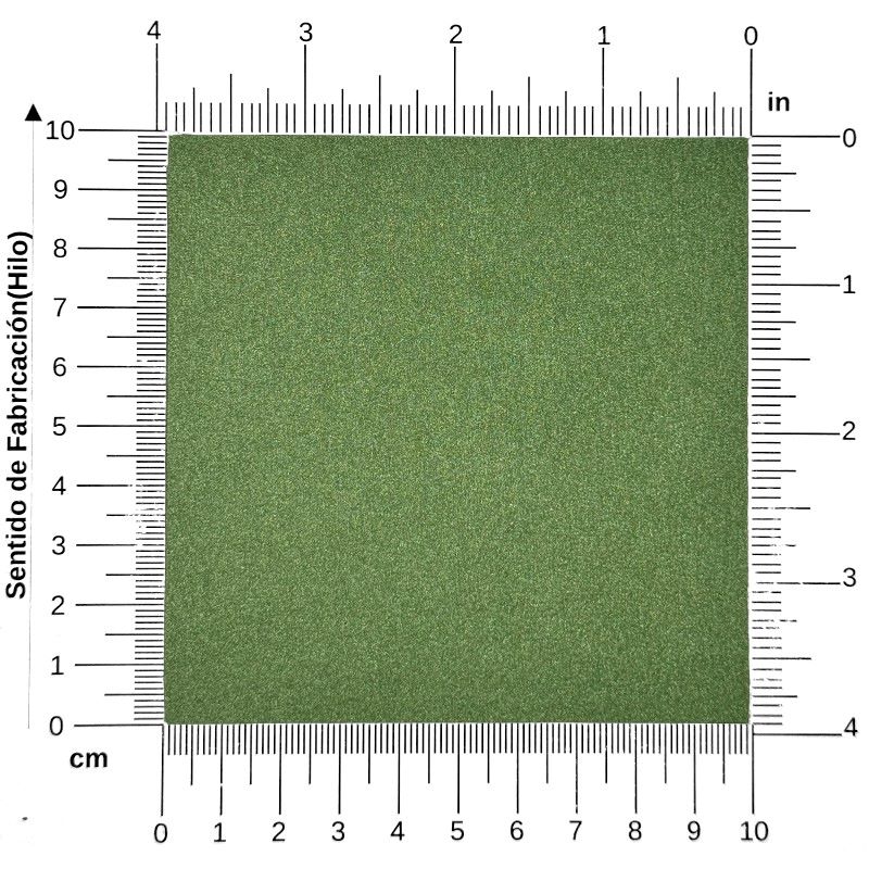 Cartulina Curious Metalic 300g Botanic 70×100cm Arjowiggins® 3CCB0-5 Hoja 01