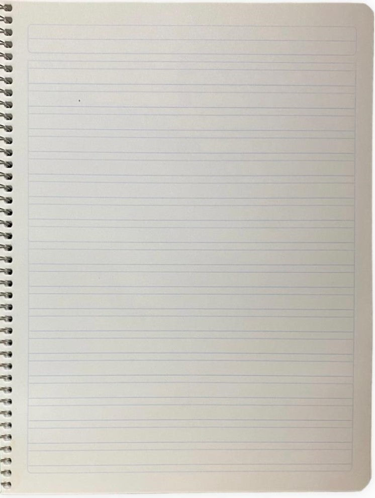 Cuaderno Profesional Espi Espiral Cubierta Plástico 100 hojas Doble Raya Scribe® 2904 Pieza 75010173