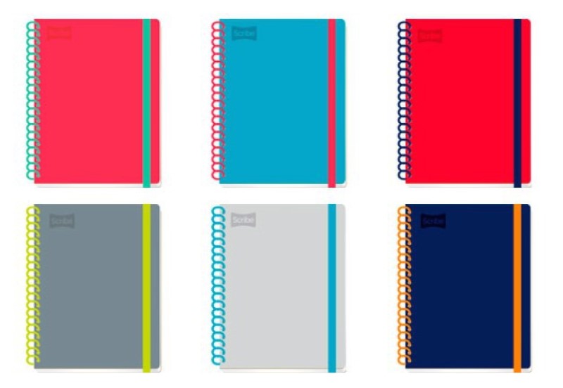 Cuaderno Profesional Espi Excellence 100 hojas Raya Scribe® 9450 Pieza 7506129430221