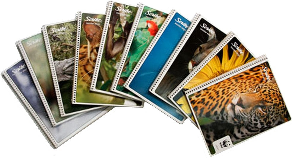 Cuaderno f/FrancesaEspira Espiral continuo Mega 100 hojas Doble Raya Scribe® 4544 [Pieza] 7501017340514