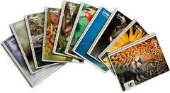 Cuaderno f/FrancesaEspira Espiral continuo Mega 100 hojas Cuadro 7mm Scribe® 4543 [Pieza] 7501017395019