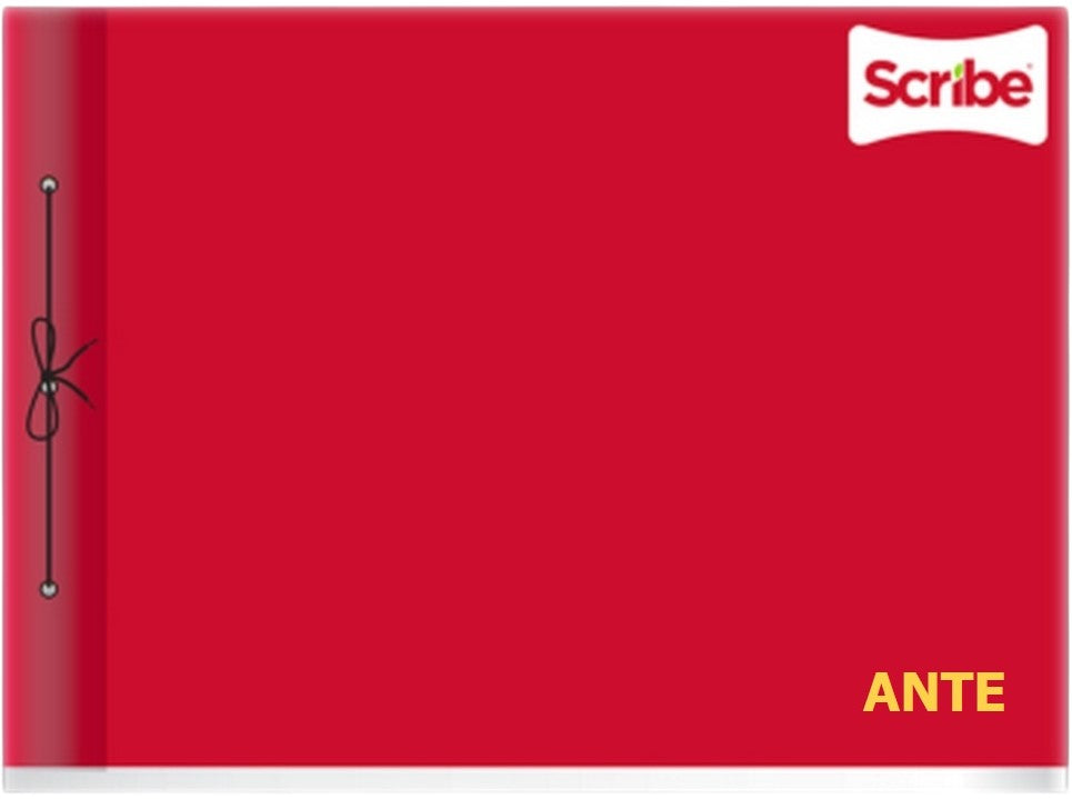 Block p/Dibujo Agujeta Ante 150g 20 hojas 44×31.5cm Scribe® 2361 Pieza 7501017340798 04
