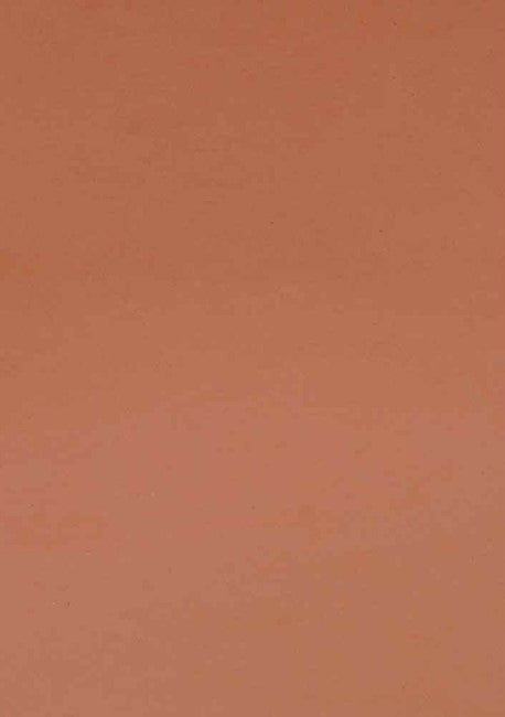 Foamy Pliego Camello 69½×94½cm Barrilito® PLI082 Pieza 7501214927242 01