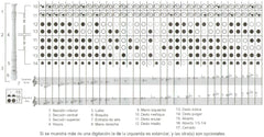 Flauta Musical Dulce Plástico Delta® FDD1 [Pieza] 7501214921189 2