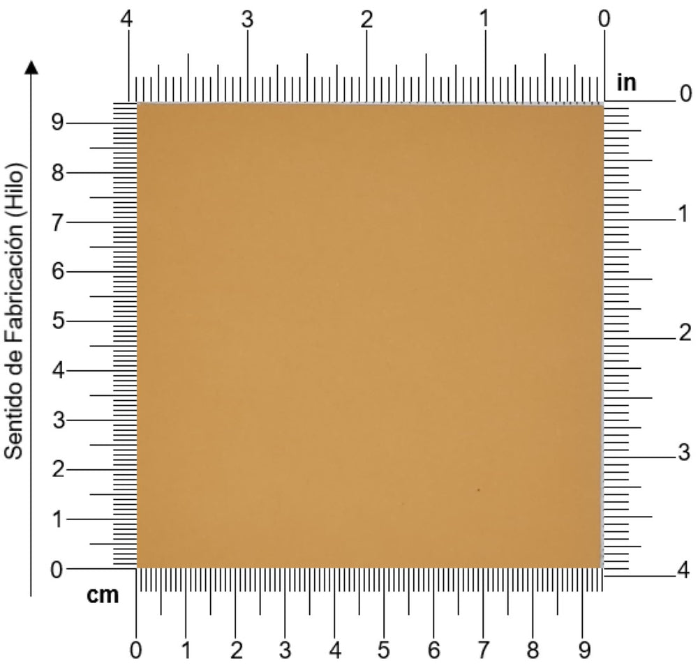 Cartulina Color Plus® 180g Beige Sahara 50×65cm Arjowiggins® 9510 Hoja 01