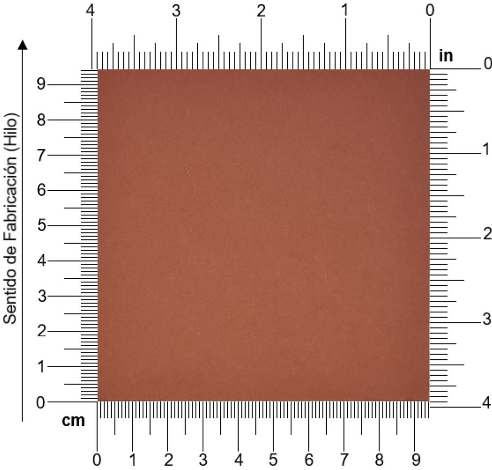 Cartulina Color Plus® 180g Pardo 50×65cm Arjowiggins® 9803 Hoja 01