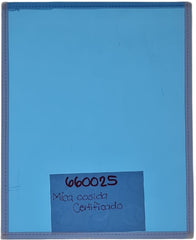 Mica Protectora Cosida porta Certificado18½×23½ Mica Azul 20¼×25¼cm Aguila® Pieza 01