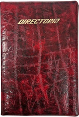 Directorio Guía Telef.Acojinada Colores 13.5×20cm Danpex® 109 [Pieza] 7501099301090