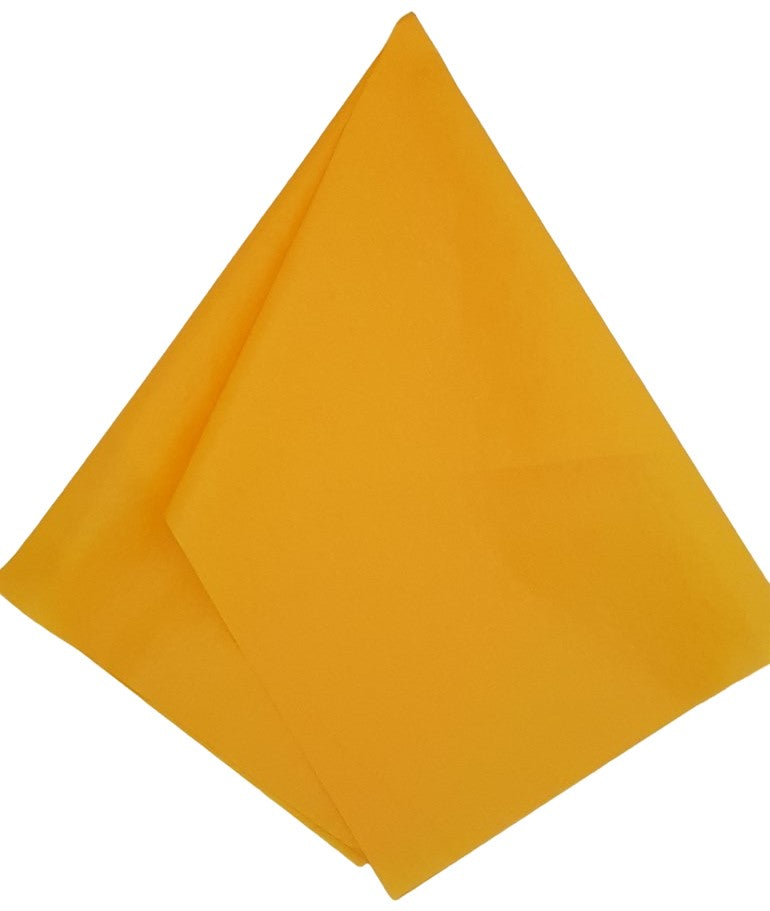 Papel China Oro (Mango) 75×50cm Colibrí® 1002 Cien hojas 01