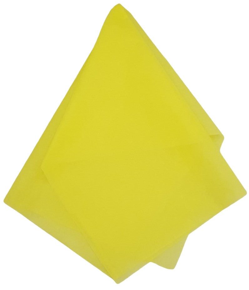 Papel China AmarilloCanario 75×50cm Colibrí® 1003 Cien hojas 01