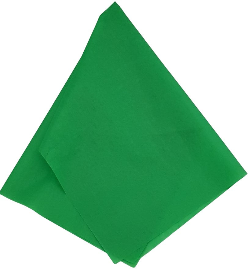 Papel China Verde Oscuro 75×50cm Colibrí® 1013 Cien hojas 01