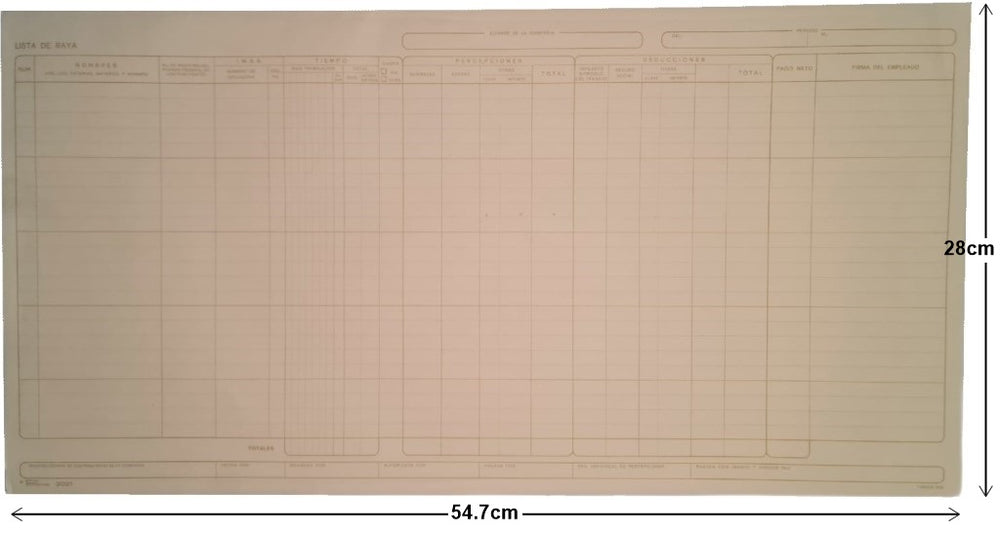 Block Lista de Raya r 25 hojas 54.7×28cm Printaform® B-2021 [Pieza]