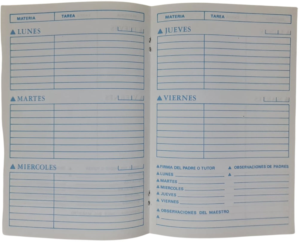 Cuaderno Registro Tareas 38 Paginas 14×21cm interlib® 0386 [Pieza] 7501649903866 2