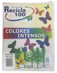 Papel Bond Color Recicla 100 c/100 Rosa Intenso Carta Irasa® 49820372 Cien hojas 7501249820235 01