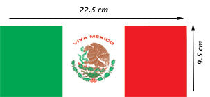 Bandera de México papel Bond Chica 22.5×9.5cm Diz&art® Pieza 7501688506073 02